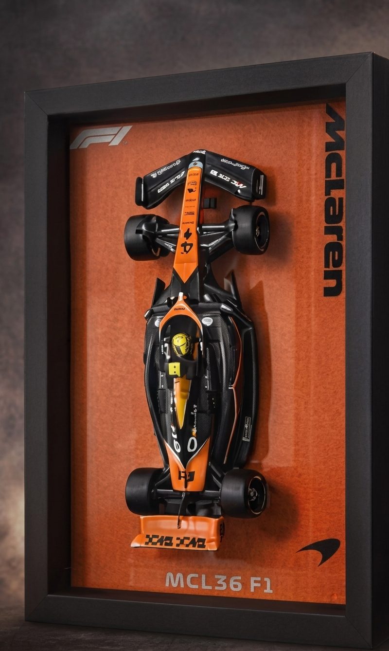 Cuadro de colección McLaren F1 a escala 1:24