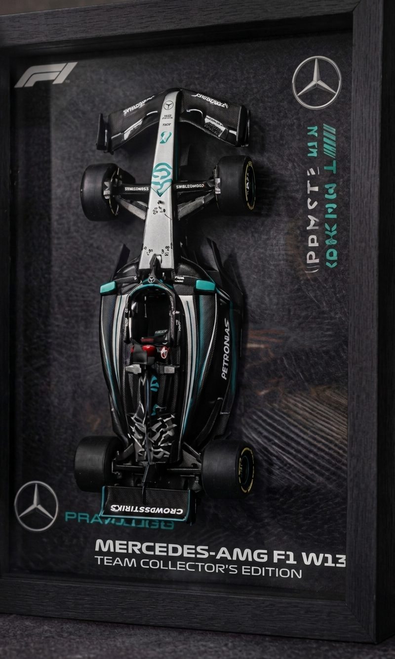 Cuadro de colección Mercedes AMG Petronas F1 a escala 1:24